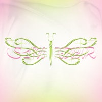 a dragonfly design on a pink background