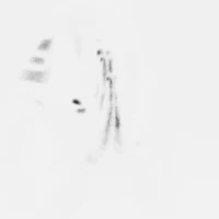 a black and white photo of a giraffe