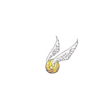 a yellow ball with wings on a black background