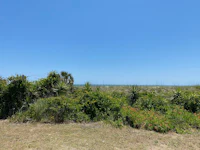 a grassy area with bushes and a view of the ocean