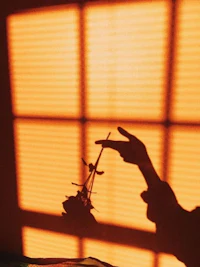 a shadow of a person holding a toy in front of a window