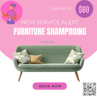 new service alert furniture shampooing