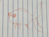 a drawing of a fish on a piece of paper