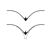 a black and white drawing of a wing