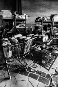 a black and white photo of shopping carts in a building