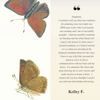 kelly f's quote about butterflies