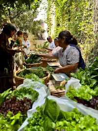 a group of people standing around a table full of lettuce