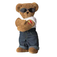 a teddy bear wearing sunglasses and jeans