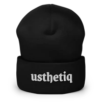 a black beanie with the word pithesu on it