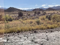 a view of a river and mountains from a train window