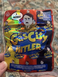 a person holding a bag of gas city hitler