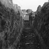 a black and white photo of a dirt path