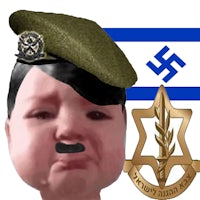 a baby with an israeli flag and a mustache