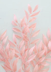 a bunch of pink leaves on a white surface