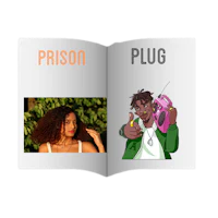 a book with the words prison and plug on it