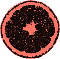 a slice of orange on a red background