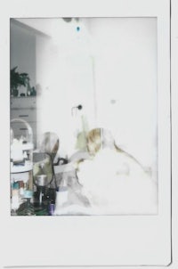 a polaroid photo of a woman in a bathroom