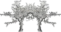 a black and white drawing of a tree