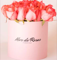 pink roses in a pink box