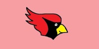 a red and black bird on a pink background
