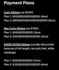 a black and white picture of a payment plan for a kitty