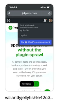 a screenshot of the jetpack account without the plugin spwaw