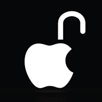 an apple logo with a lock on it
