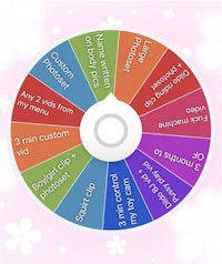 an image of a wheel with different colors on it