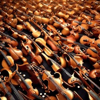 a bunch of violins on a black background