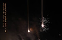 a black and white image of a firework in the sky