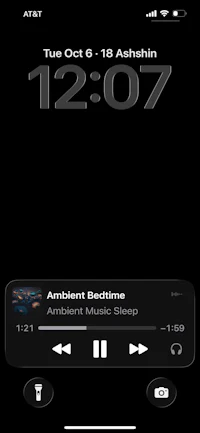 a screenshot of a music player on an iphone
