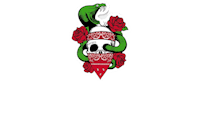 a skull with roses and a snake on a black background