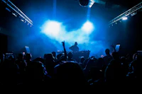 silhouette of a crowd at a concert