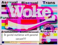 a poster with the word woke on it