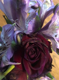 a close up of a purple rose in a vase