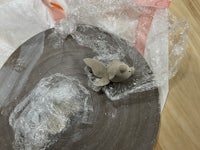 a piece of clay on a plate with plastic wrap on it