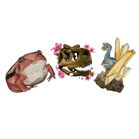 a set of stickers featuring a t - rex, a frog, and a flower