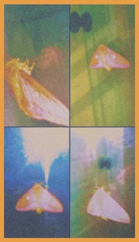 four pictures of a plane flying in the sky