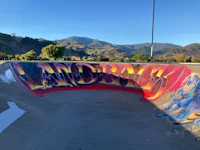 a skate park with graffiti in the background