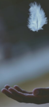 a person's hand is holding a white feather