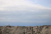 a person is standing on top of a sand dune