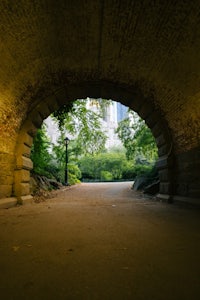 a tunnel in central park with trees in the background