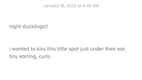 a text message that says, i wanted to kiss a little spot just under my earring curls