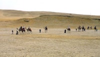 a group of people riding camels in the desert