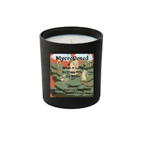 a black candle with the words jesus dream on it