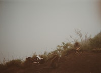 a group of monkeys sitting on top of a hill