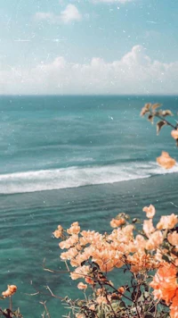 a view of the ocean with flowers in the background