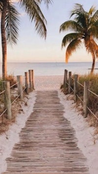 a wooden walkway leading to a beach with palm trees