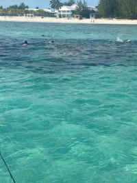 a group of people swimming in the water near a beach