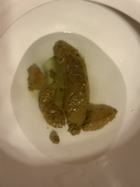 a toilet with a piece of meat in it